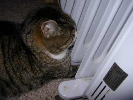 Picture 003
